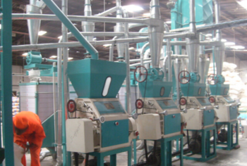 30 ton per day maize milling machine kenya/zambia/south africa