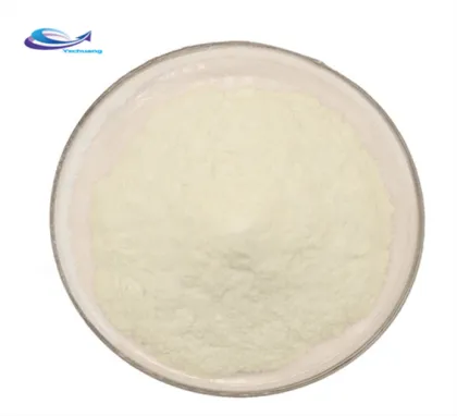 Hot sale ginseng extract ginseng powder