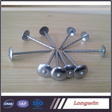 High quality polished umbrella roofing nails in China