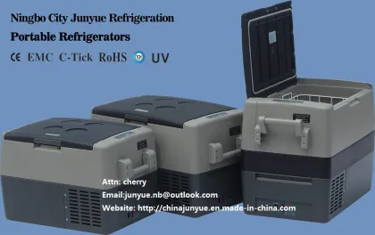 60L DC 12V 24V CE Mobile Car Refrigerator