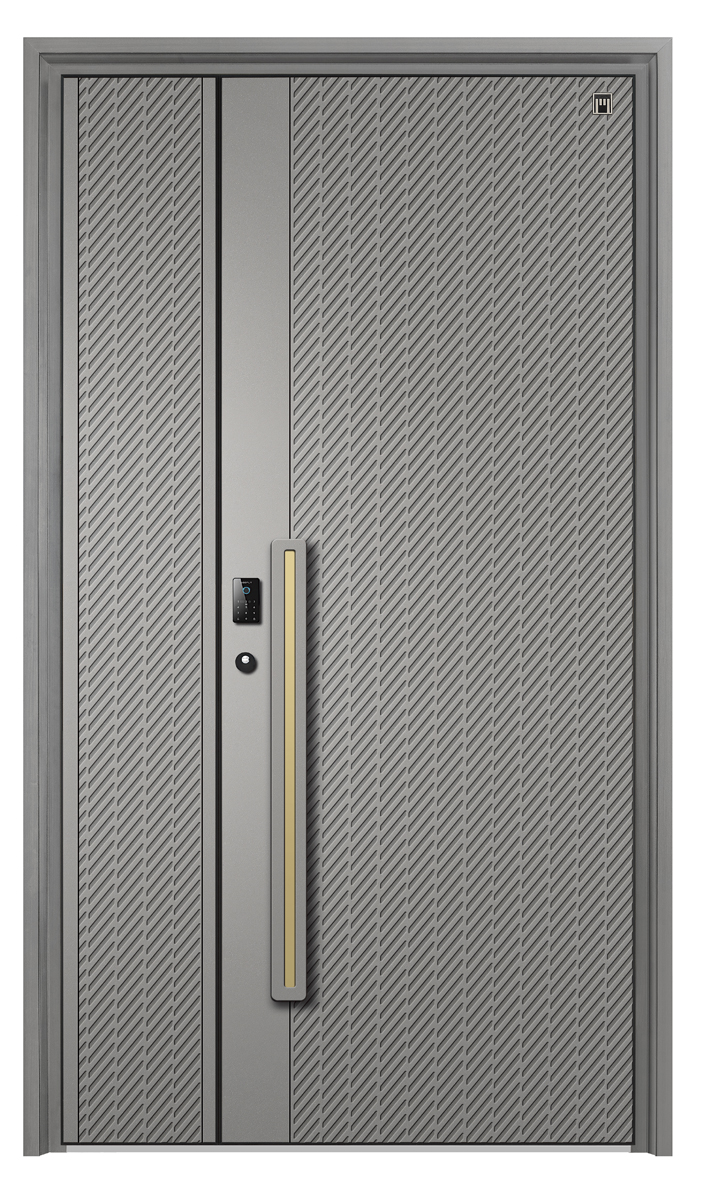 Minimalist Art Aluminum Security Door