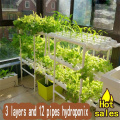 12 paip Hydroponics PVC NFT Sistem Tumbuh