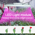 LED Grow Light 120W de espectro completo