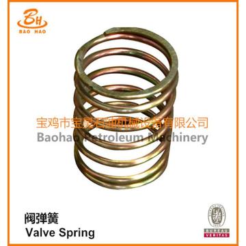 Industri Sprial Custom Valve Compression Spring