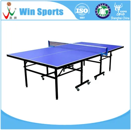 DHS Table Tennis Table