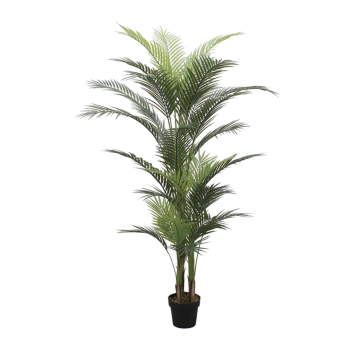 Linwoo 180cm Palmera Areca Areca Areca resistente a UV para decoración interior y exterior - Venta al por mayor en línea