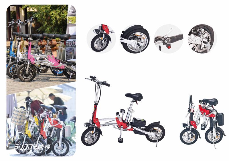 12inch Small Magnesium Alloy Light Weight Dirt Bike with Lovely Design