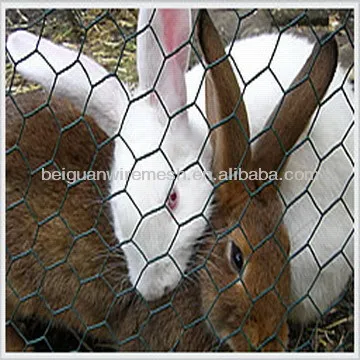 Electro &Hot Dipped Galvanized Hex Wire Net