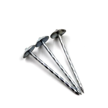 Chiodi per tetti da 1/2 pollice con rondella in neoprene