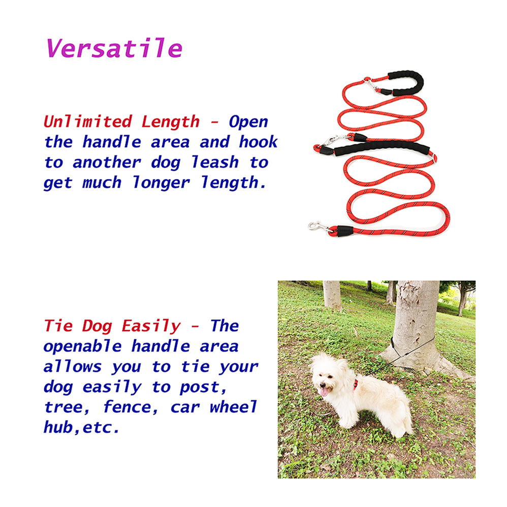 dog leash best