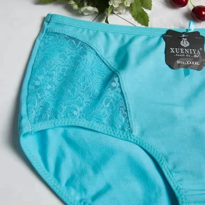 High End health underwear sexy lace panties