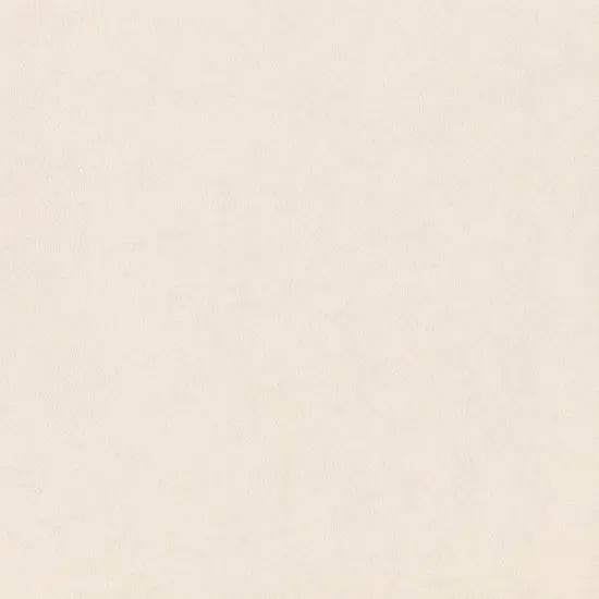 Pure color 600*600 Matt Finishing Porcelain flooring tiles