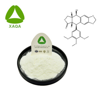 Dysosma Versipellis Extract Picropodophyllotoxin 477-47-4