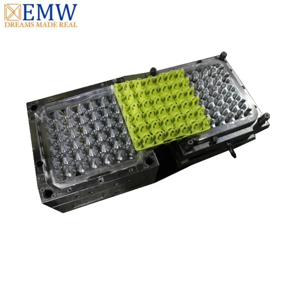 China Egg Tray Mould Injection Plastic Mold Maker