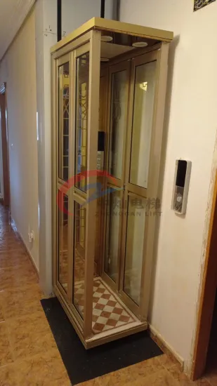 Home Lift System Elevators House Villa Hotel and Apartment Passenger Lift