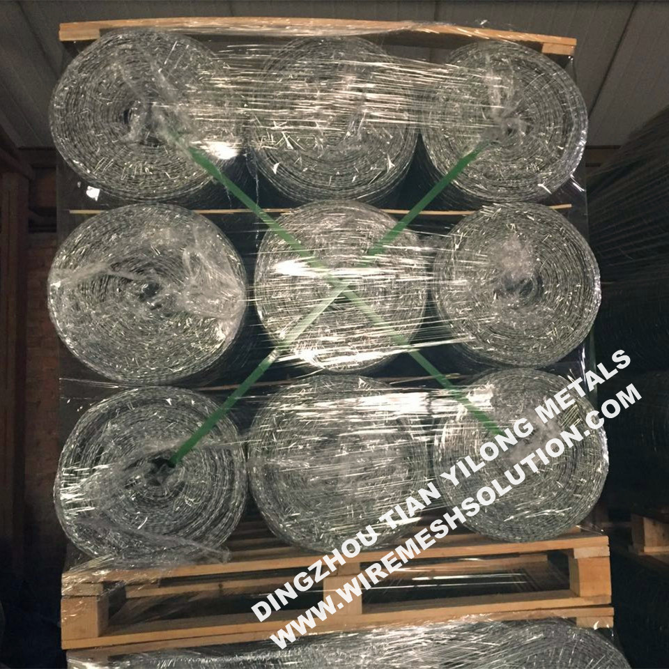 Galvanized After Weaving Hex Wire