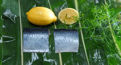 Herring Portion