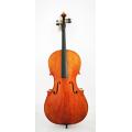 Violoncello entry-level di alta qualità