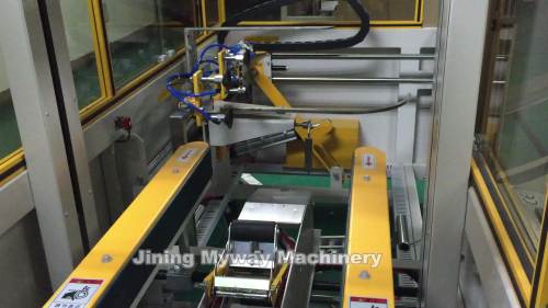 Automatic Case Packer Carton Box Packing Machine, High Quality ...