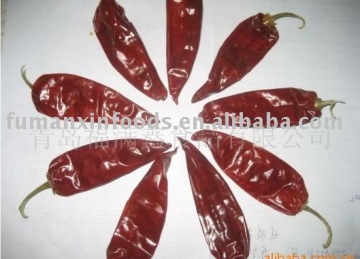 dried chilli