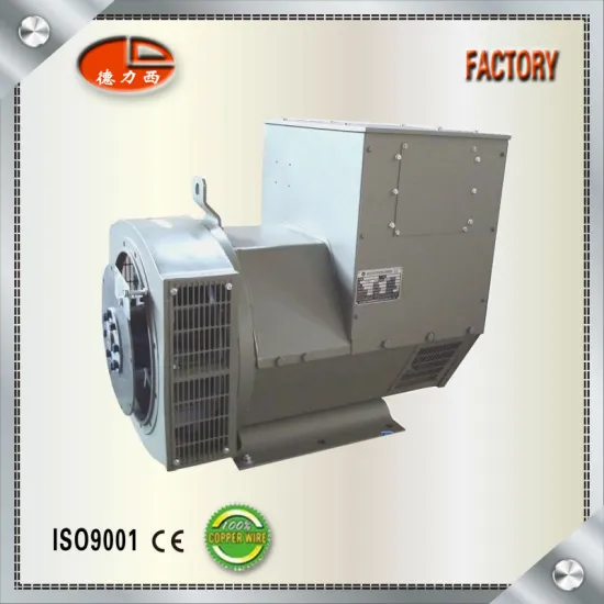 Delixi Factory 100% Copper Wire Three Phase Small AC Generator