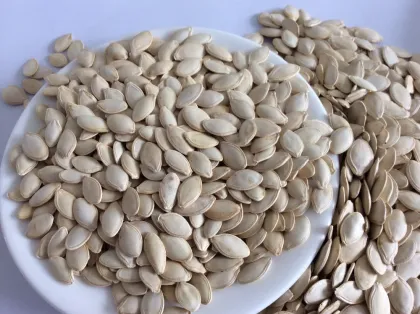 China inner mongolia wholesale shine skin pumpkin seeds