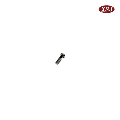 Sports Equipment Accessories Stainless Steel Lag Screw Parts Factory