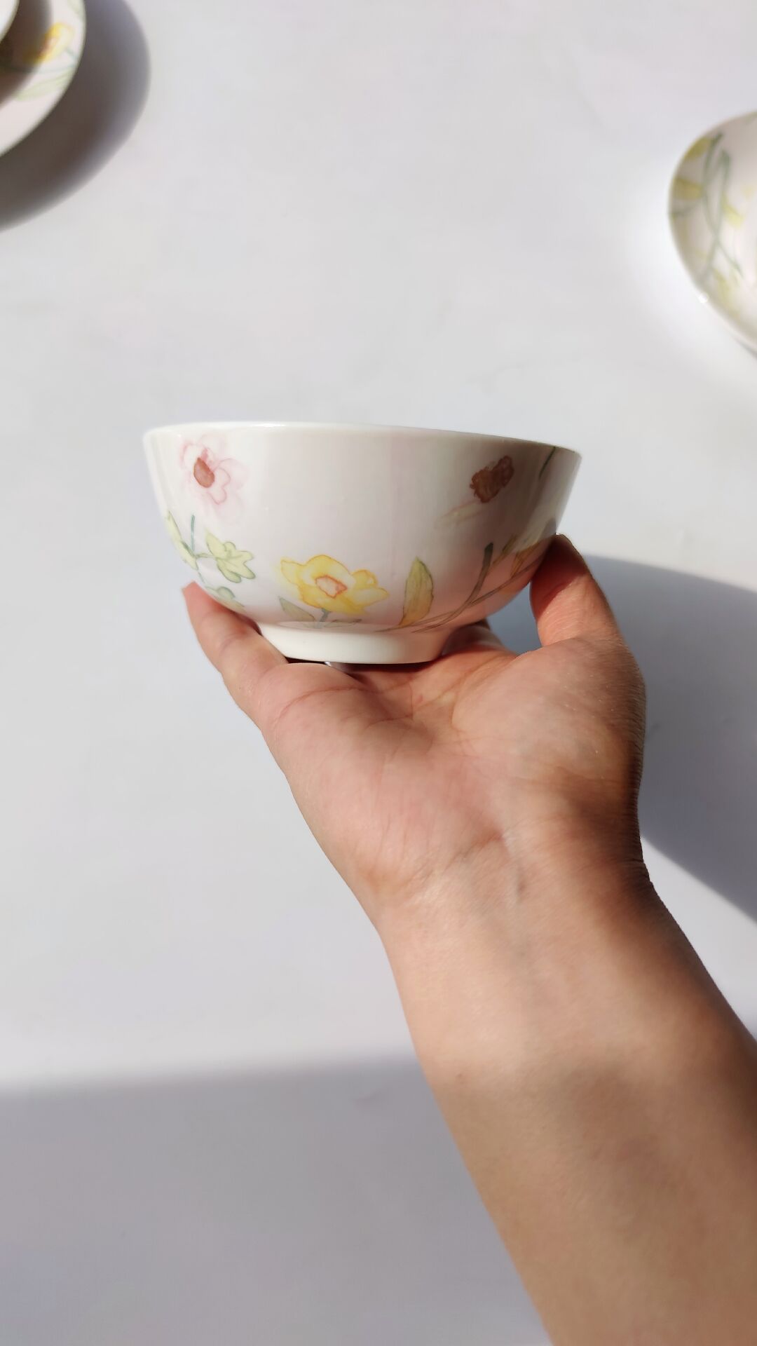 Ceramic European style garden hand-painted style