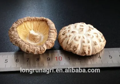 China Factory Price Delicious White Flower Shiitake Mushroom