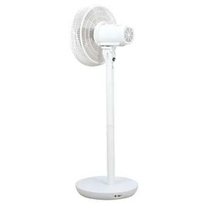 Strong Wind Fashion L12-3 Standing Fan