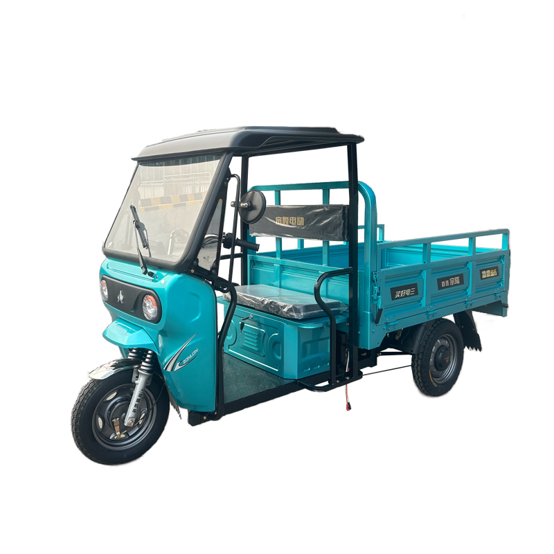 New Blue Electric Tricycle Motorcycle