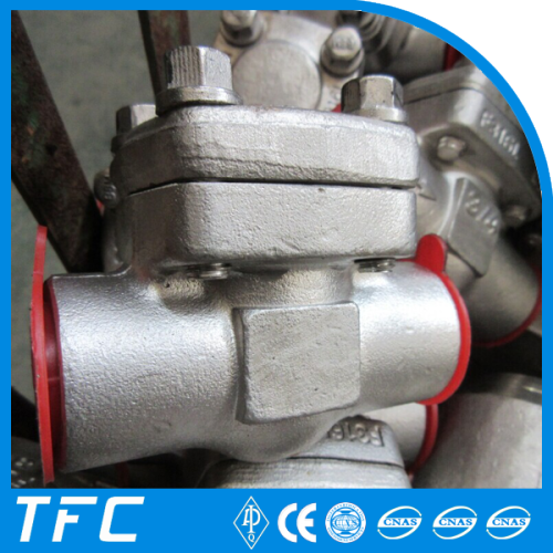 Alloy Steel check valve, 904L check valve