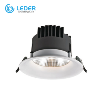 LEDER Aluminum Body COB 40W LED Downlight