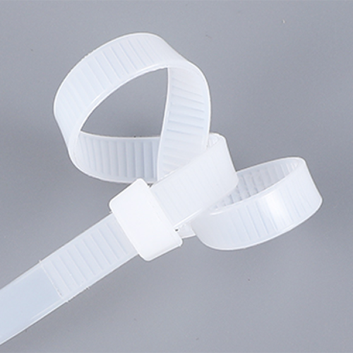 plastic cable ties mould