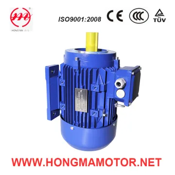 1.3/1.8kw Asynchronous Adjust Speed AC Motor (90L-4P/2P-1.3/1.8KW)