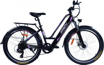 Top Selling Folded Electric Bike