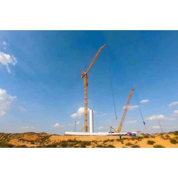 Large wind power crane