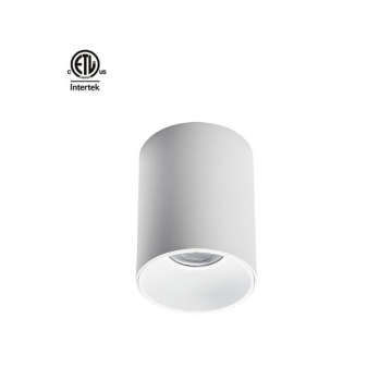 Daytonled Master D IP65 Series ETL CETL Certified High-Power LED Downlight