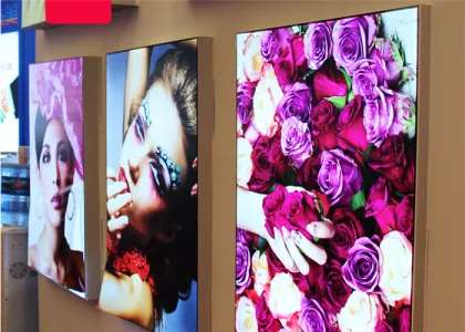 Advertising Strectch Frameless Fabric Light Box Display
