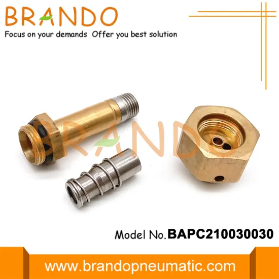 BAPC210030030 Pulse Jet Valve Solenoid Armature Assembly