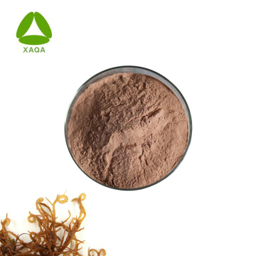 Cosmetic Mask Material Hypnea Musciformis Extract Powder