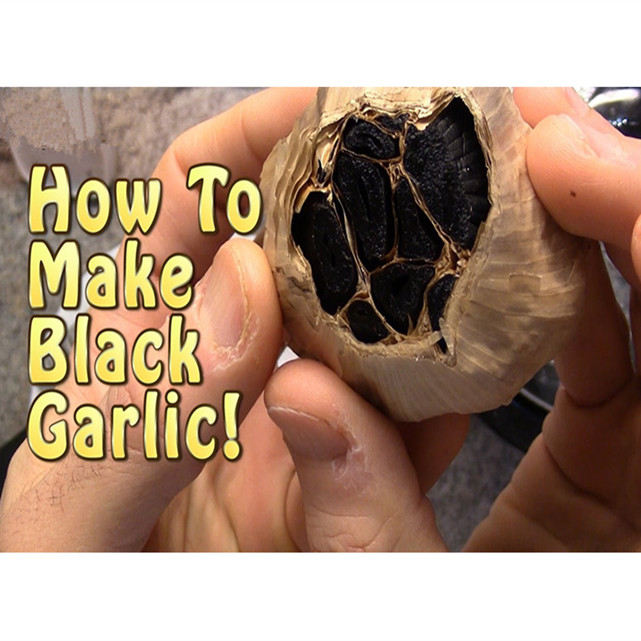 whole black garlic (47)