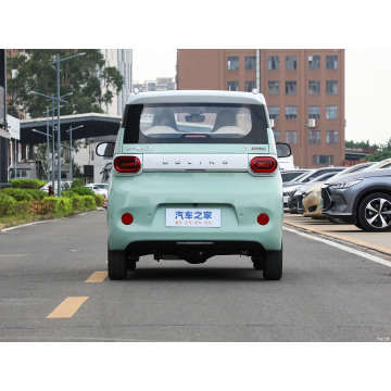 Wuling Mini EV New Energy Vehicle