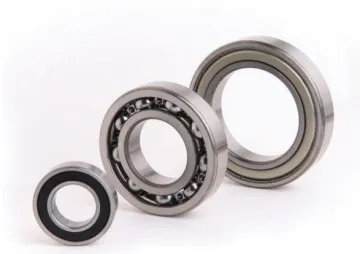 Single Row Deep Groove Ball Bearing (6221)