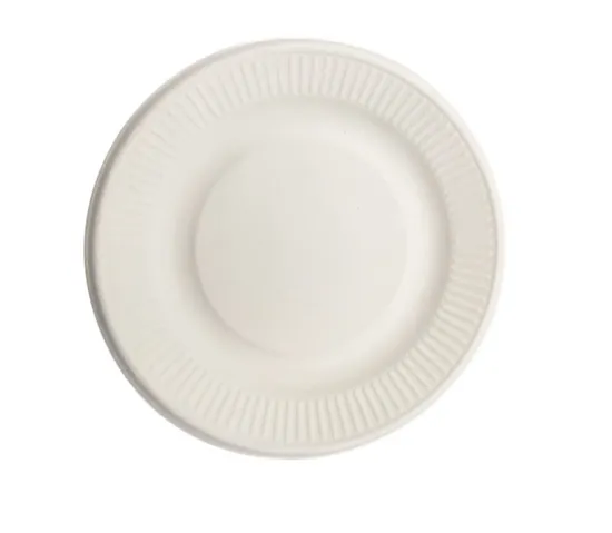 compartment lunch tray sugarcane bagasse pulp plates