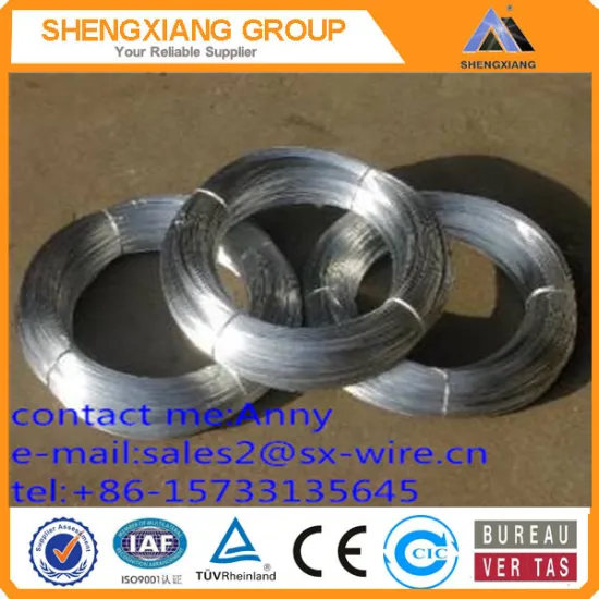 electric galvanizd wire/hot dipped galvalnized wire/binding wire/TUV Rheinland