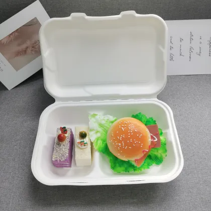Biodegradable Pulp Disposable 9x6'' 2 cpt Food Container