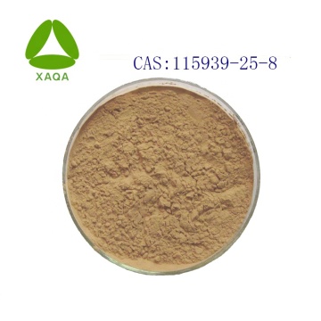 Salvia Miltiorrhiza Root Extract Salvianolic Acid B Powder