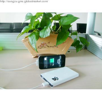 The latest Dual USB power bank in 2012 for ipad,mobiles and other usb
