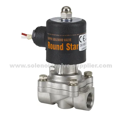 2way Stainless Steel 304 Steam Hot Water Ip54 Solenoid Valve 